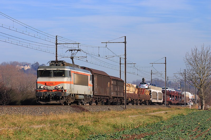 BB 7355.JPG